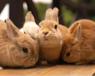 熱海ふれあいガーデン写真3